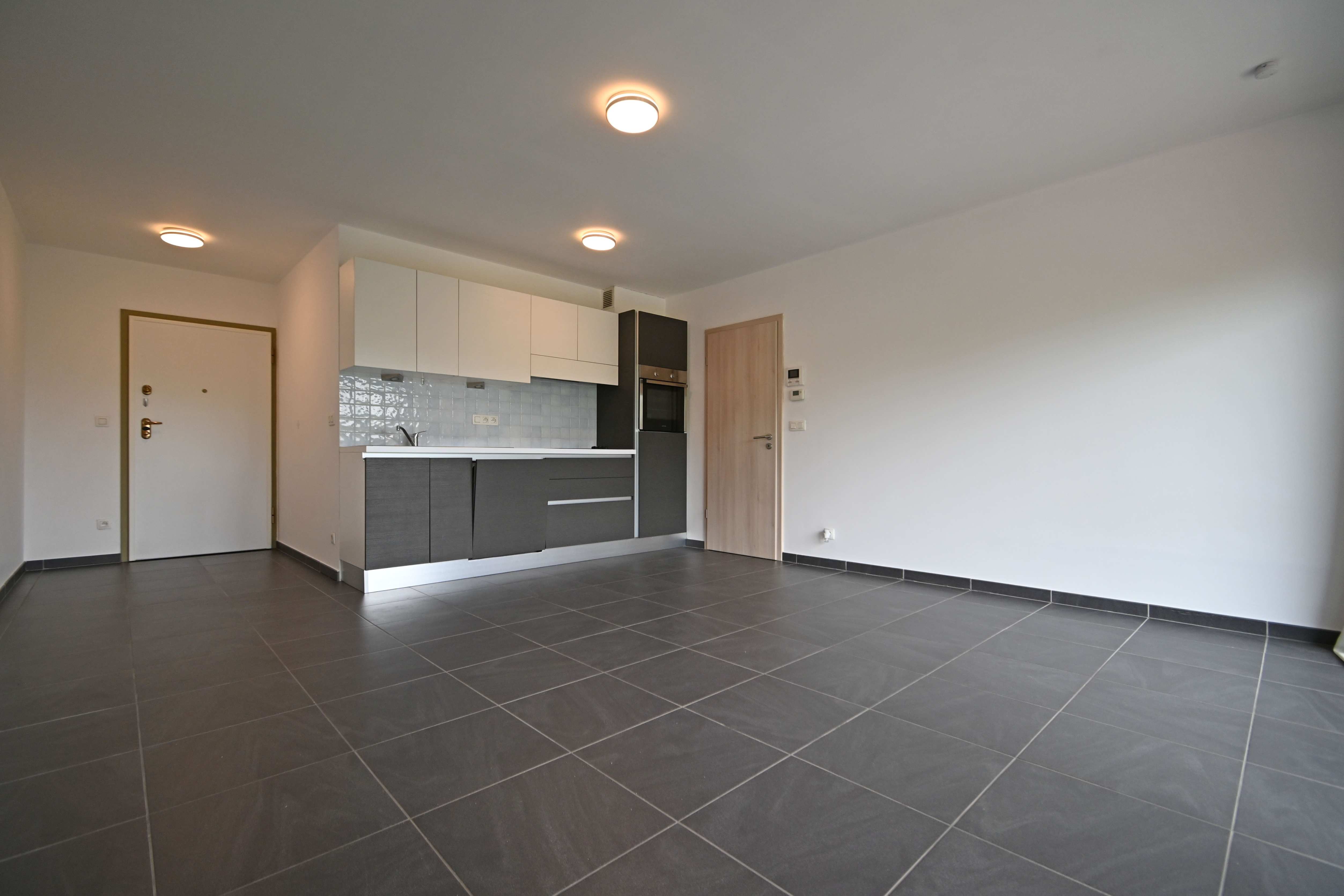 Appartement 1 chambre avec terrasse en face du parc